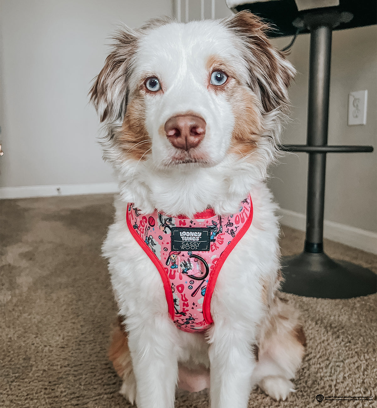 INFLUENCER_CONTENT | @ELLA.THEMINIAUSSIE | SIZE M