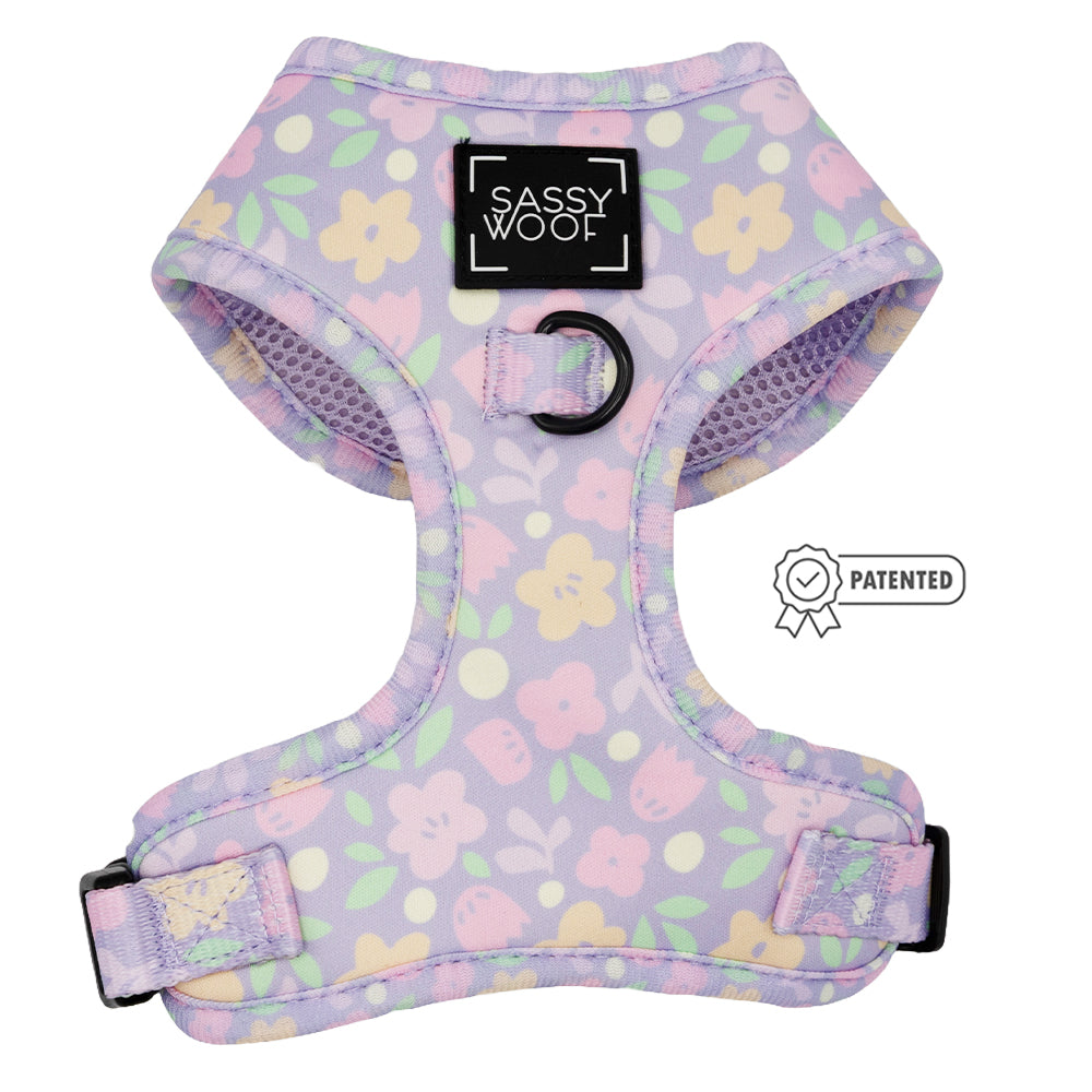 Dog Two Piece Bundle - Fleur de Sass