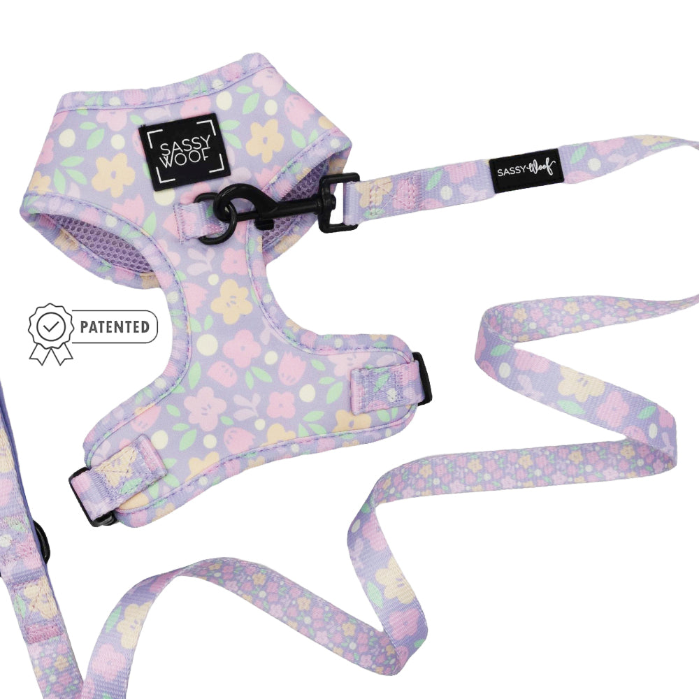 Dog Two Piece Bundle - Fleur de Sass