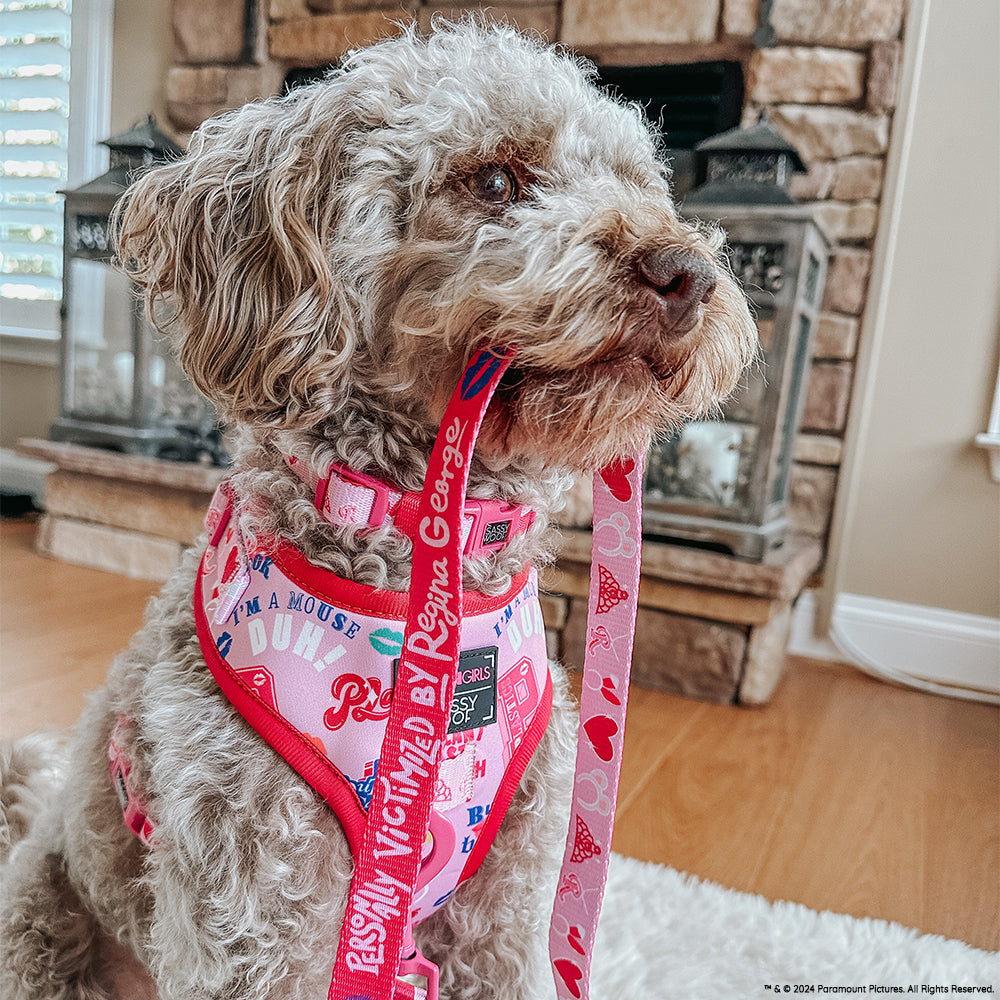 INFLUENCER_CONTENT | @HARPERTHECHOCOLATEDOODLE