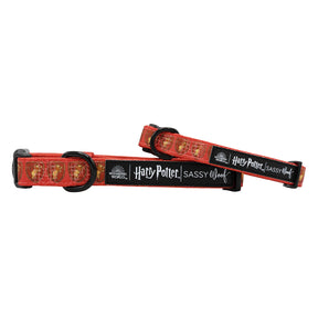 Dog Collar - Harry Potter™ Gryffindor