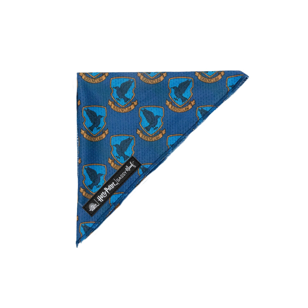 Dog Bandana - Harry Potter™ Ravenclaw