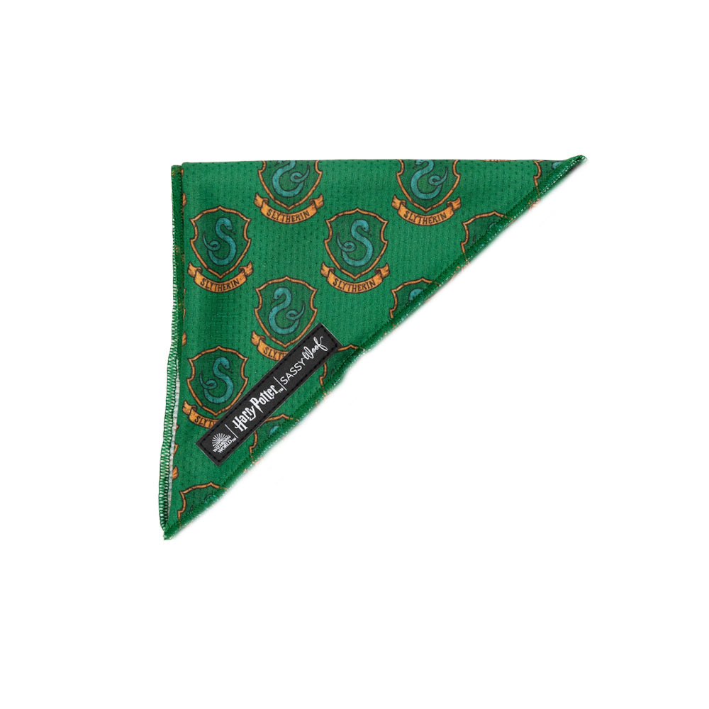 Dog Bandana - Harry Potter™ Slytherin