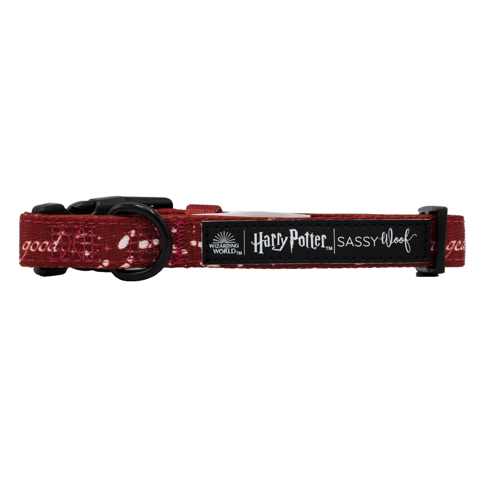 Dog Collar - Harry Potter™ Marauder's Map™