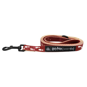 Dog Leash - Harry Potter™ Marauder's Map™