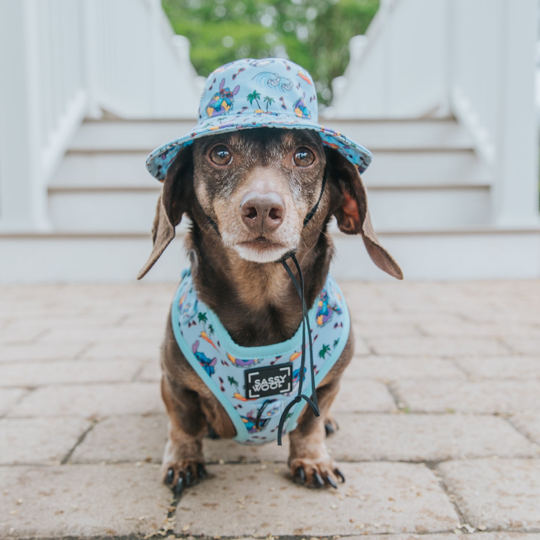 Dog Bucket Hat - Disney's Stitch