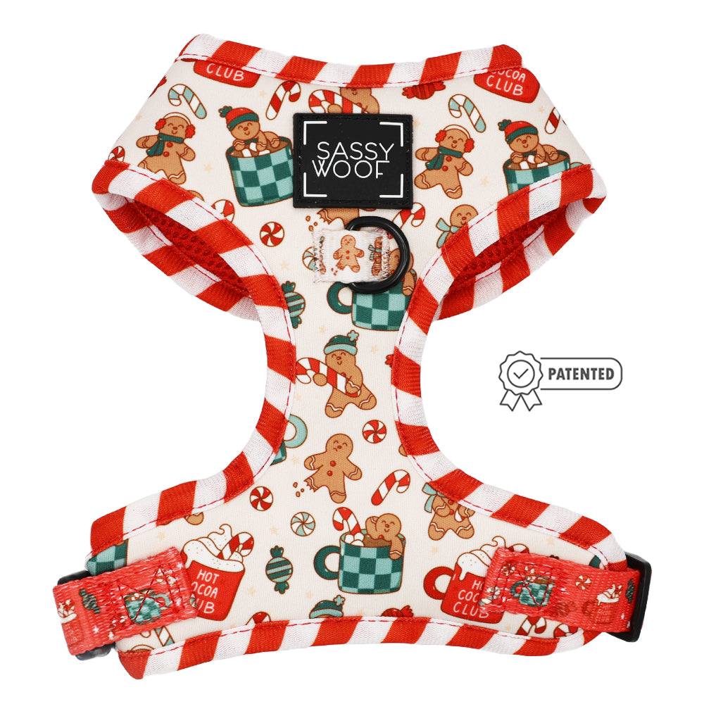 Dog Four Piece Bundle - Hot Cocoa Club