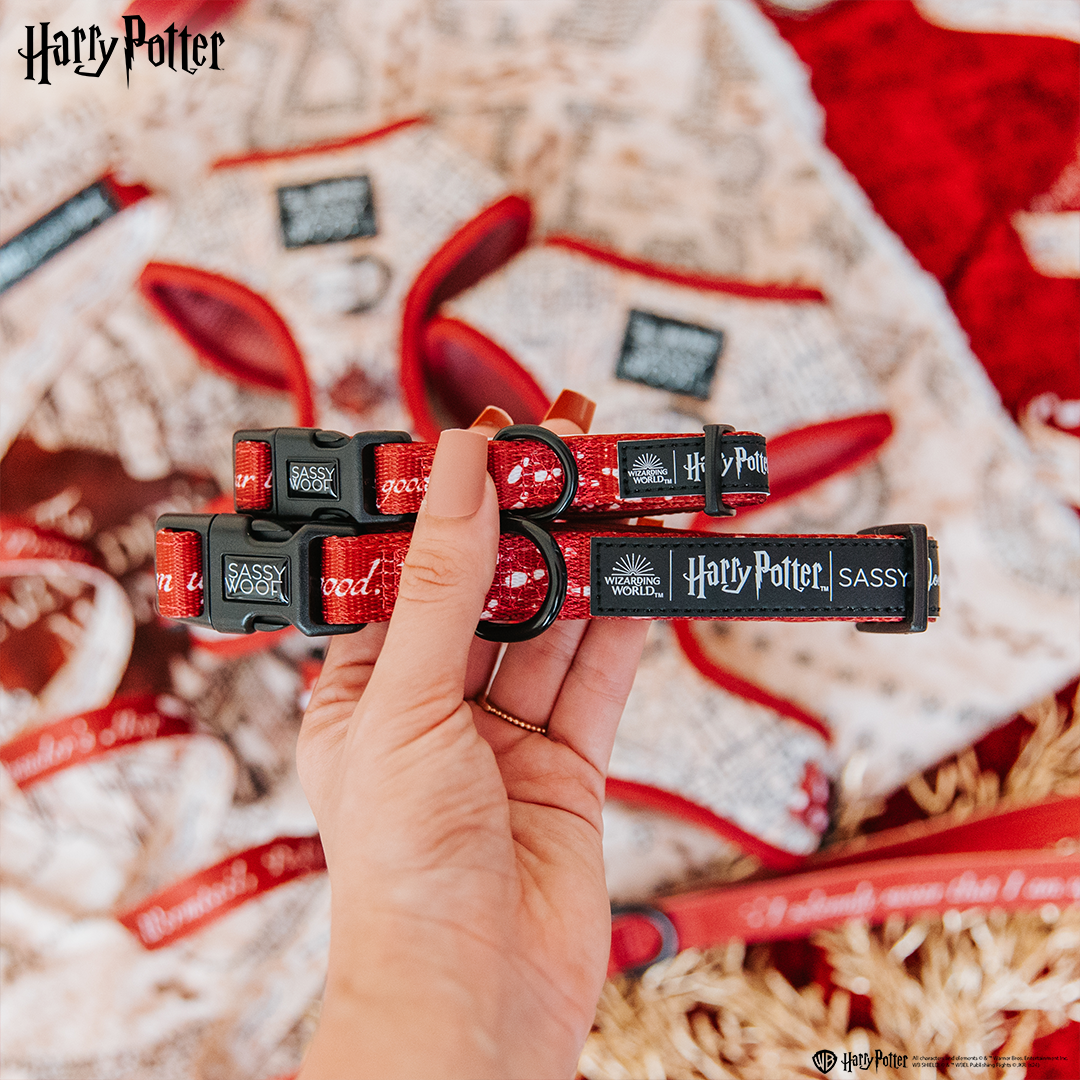 Dog Collar - Harry Potter™ Marauder's Map™