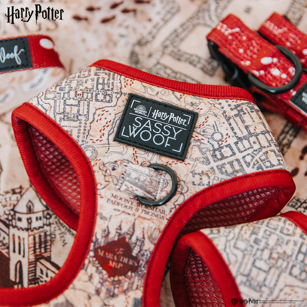 Dog Adjustable Harness - Harry Potter™ Marauder's Map™