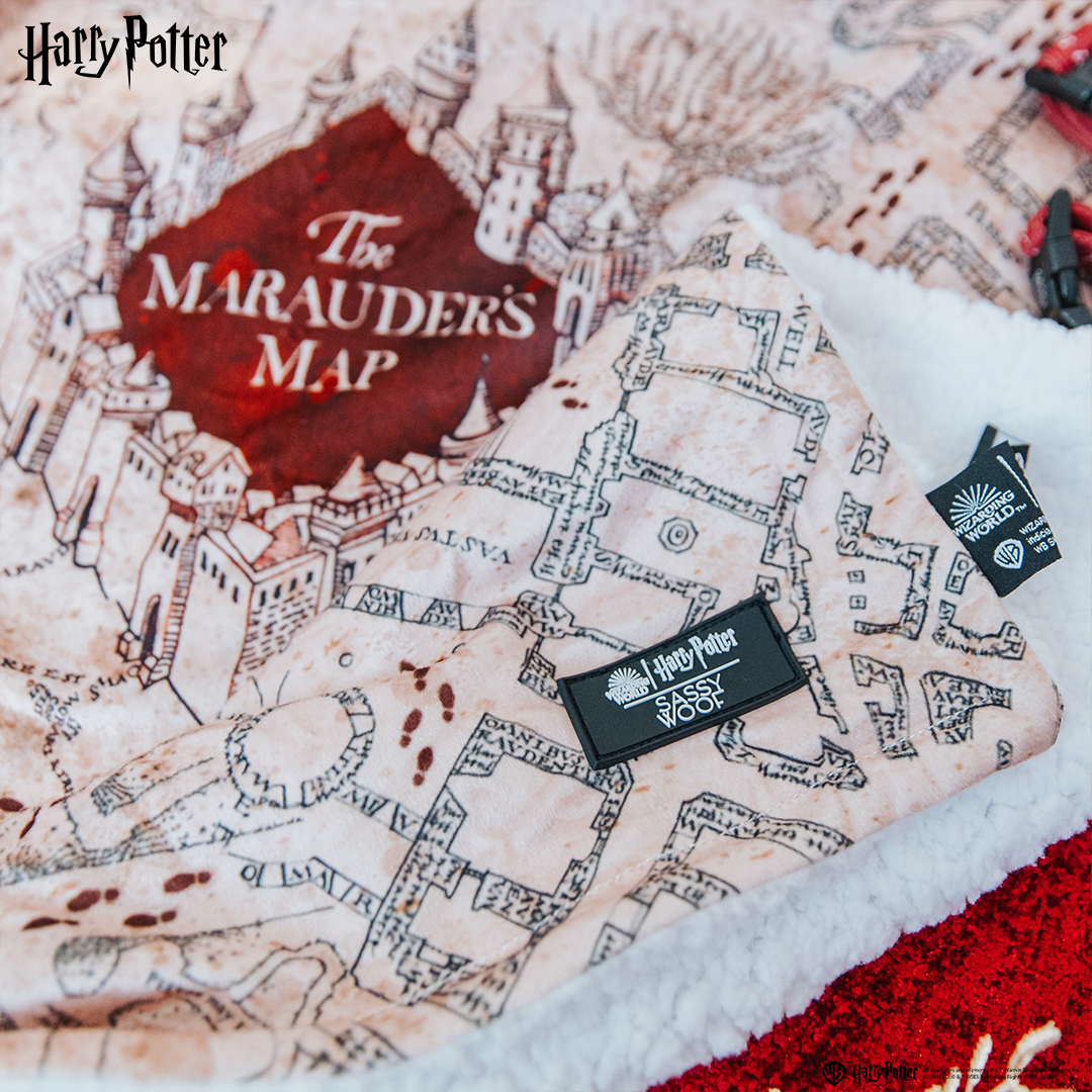 Dog Blanket - Harry Potter™ Marauder's Map™