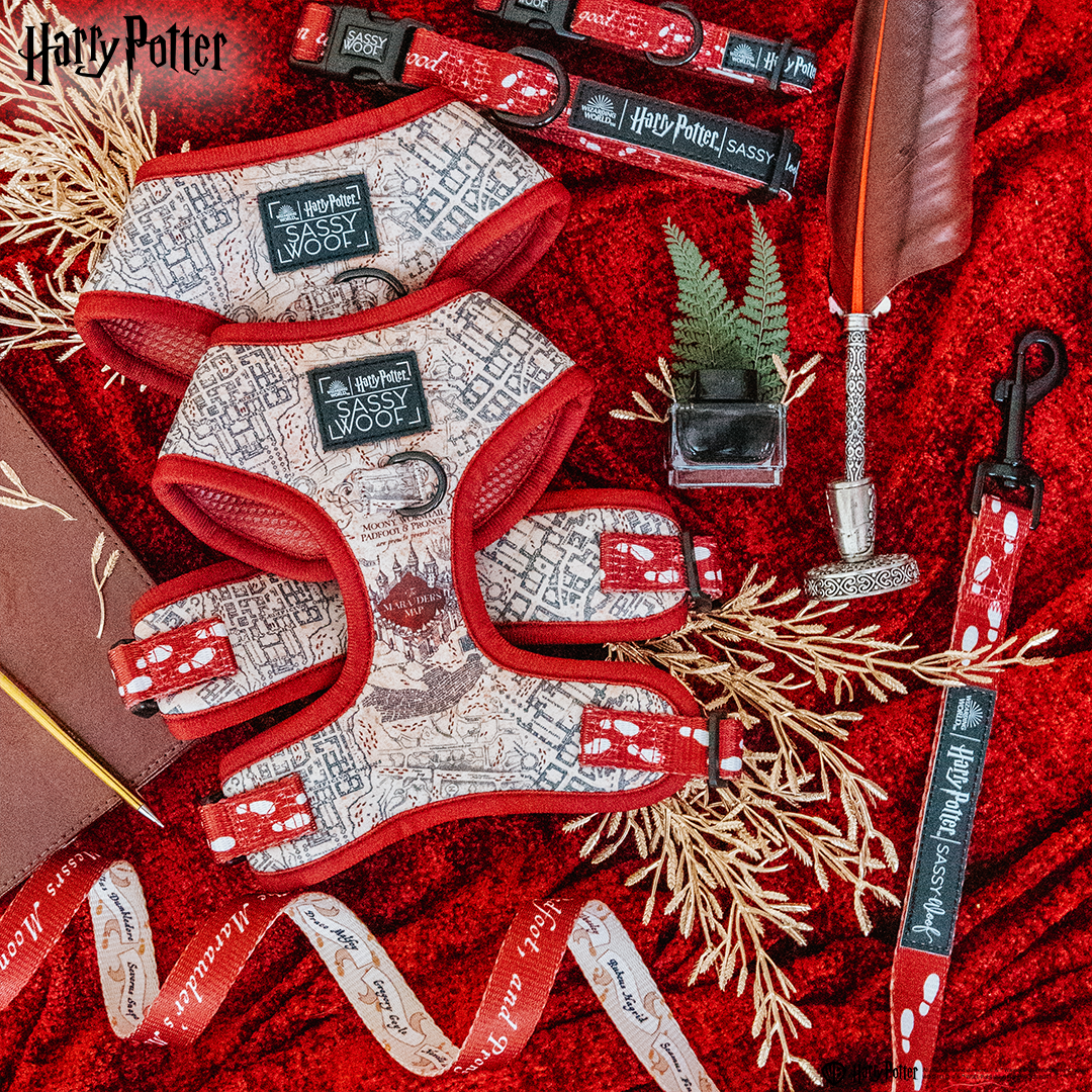 Dog Three Piece Bundle - Harry Potter™ Marauder's Map™