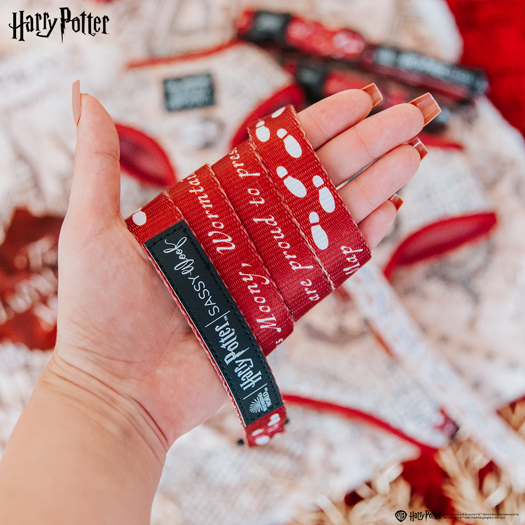 Dog Leash - Harry Potter™ Marauder's Map™