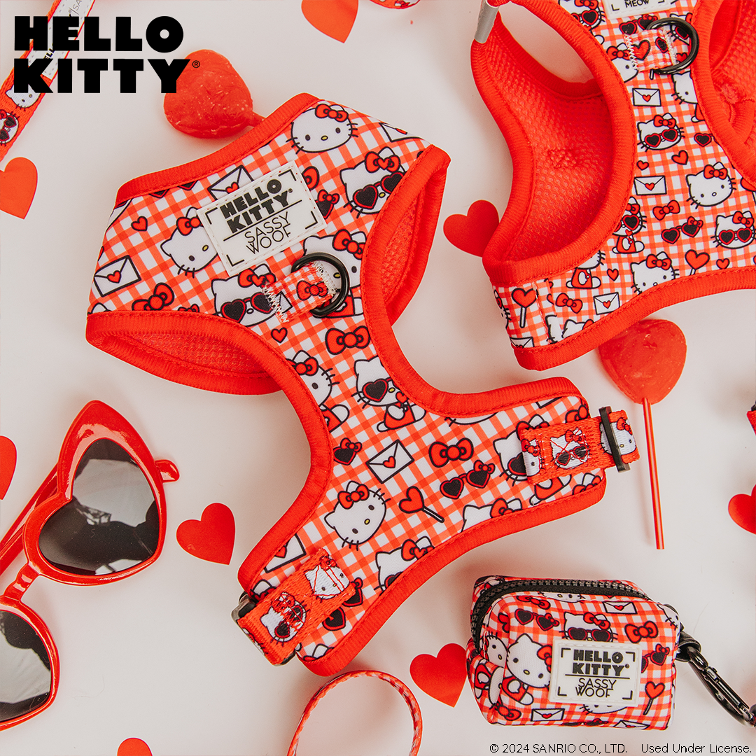 Dog Four Piece Bundle - Hello Kitty® Red Classic