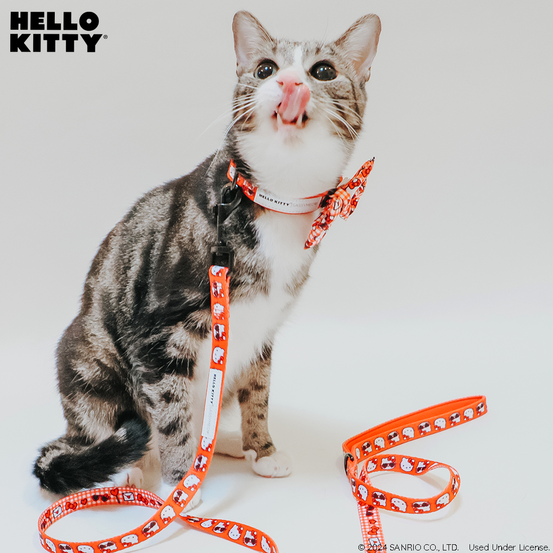 Cat Leash - Hello Kitty® Red Classic