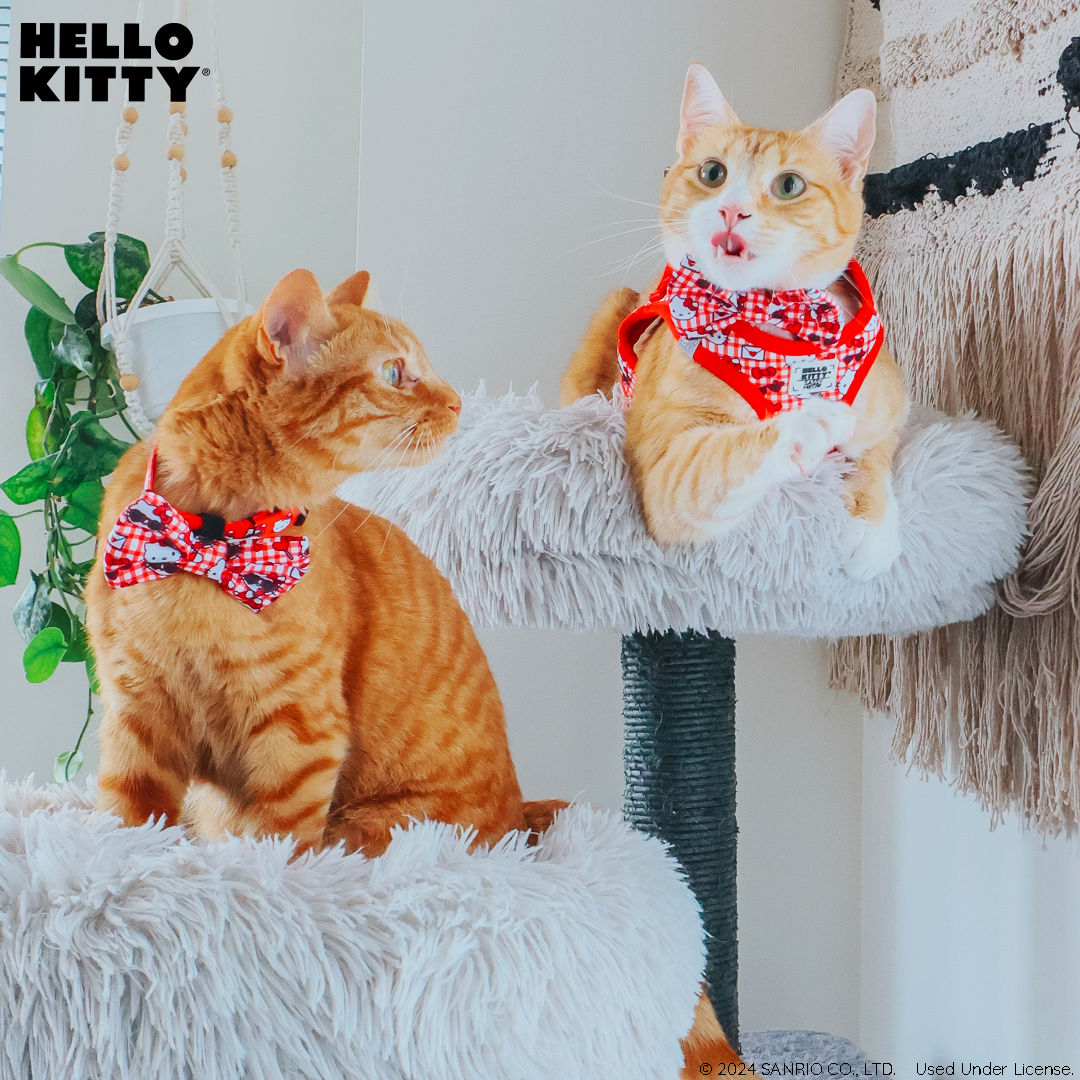 Cat Step-In Harness - Hello Kitty® Red Classic