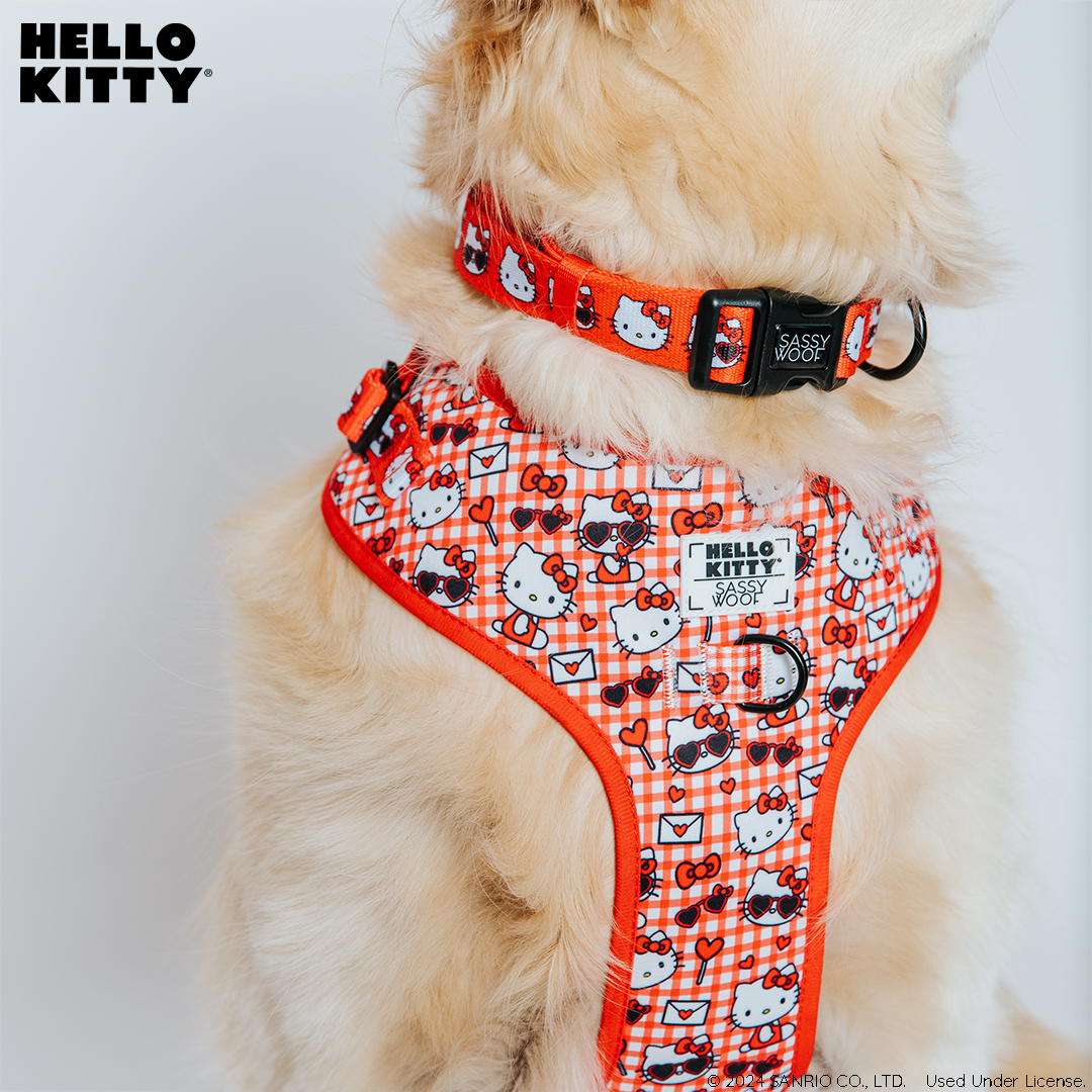 Dog Collar - Hello Kitty® Red Classic