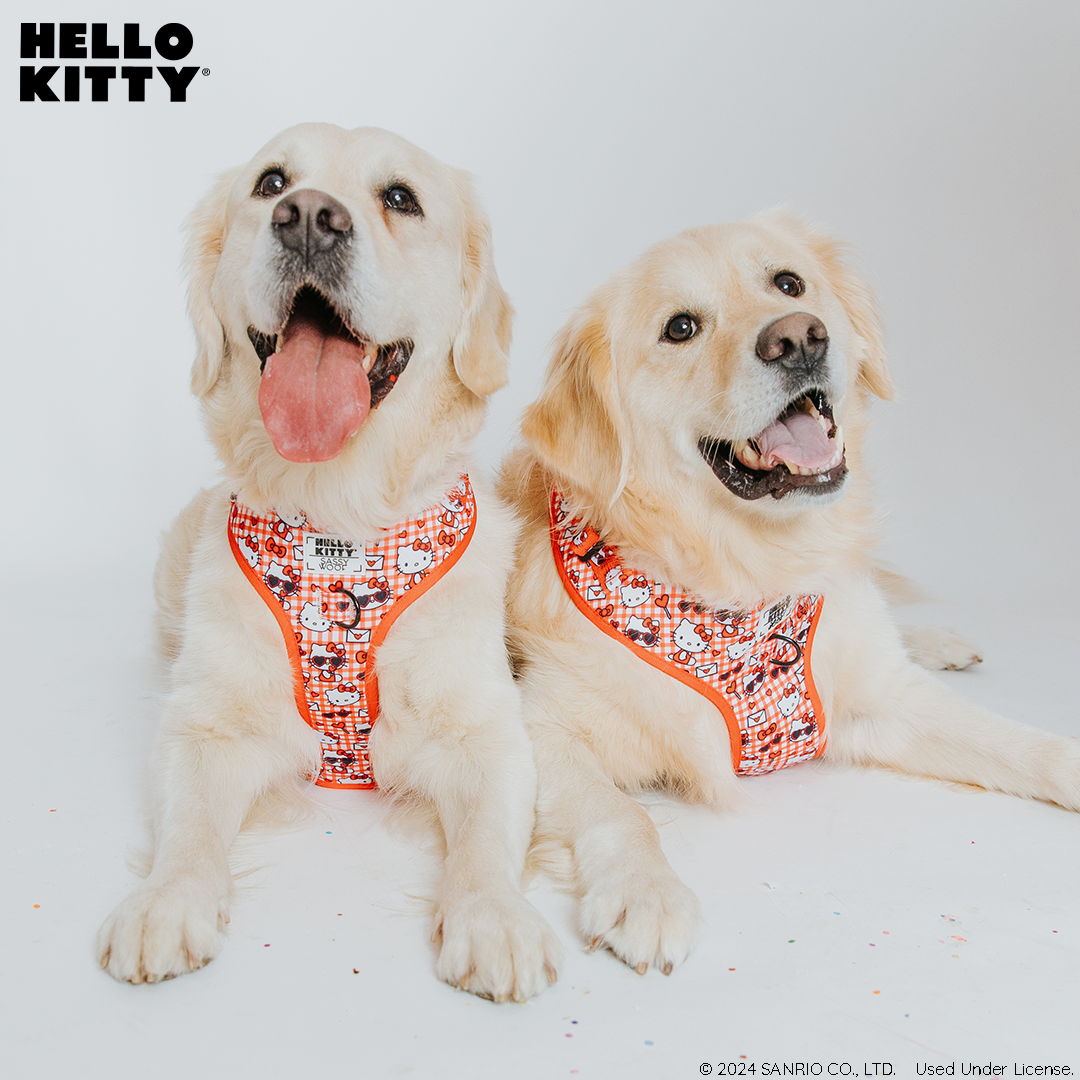 Dog Two Piece Bundle - Hello Kitty® Red Classic