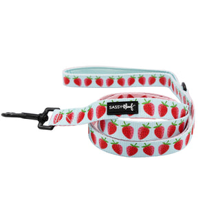 Dog Four Piece Bundle - I Woof You Berry Much