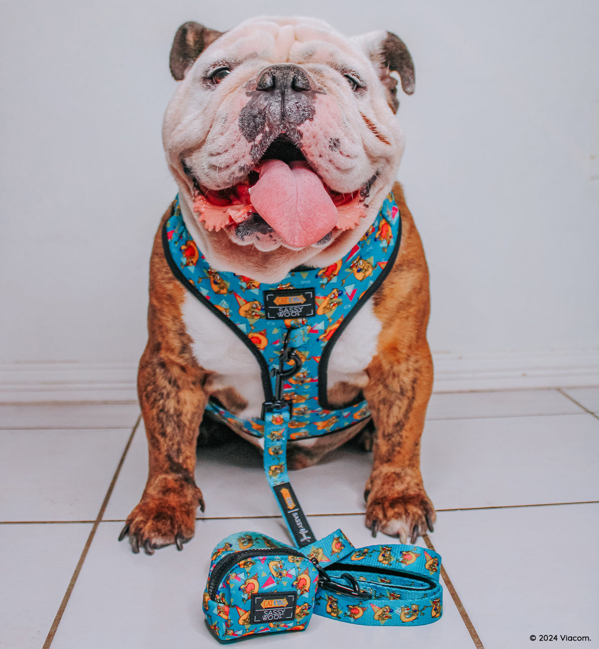 INFLUENCER_CONTENT | @ITSZEUSTHEBULLDOG | SIZE L & L