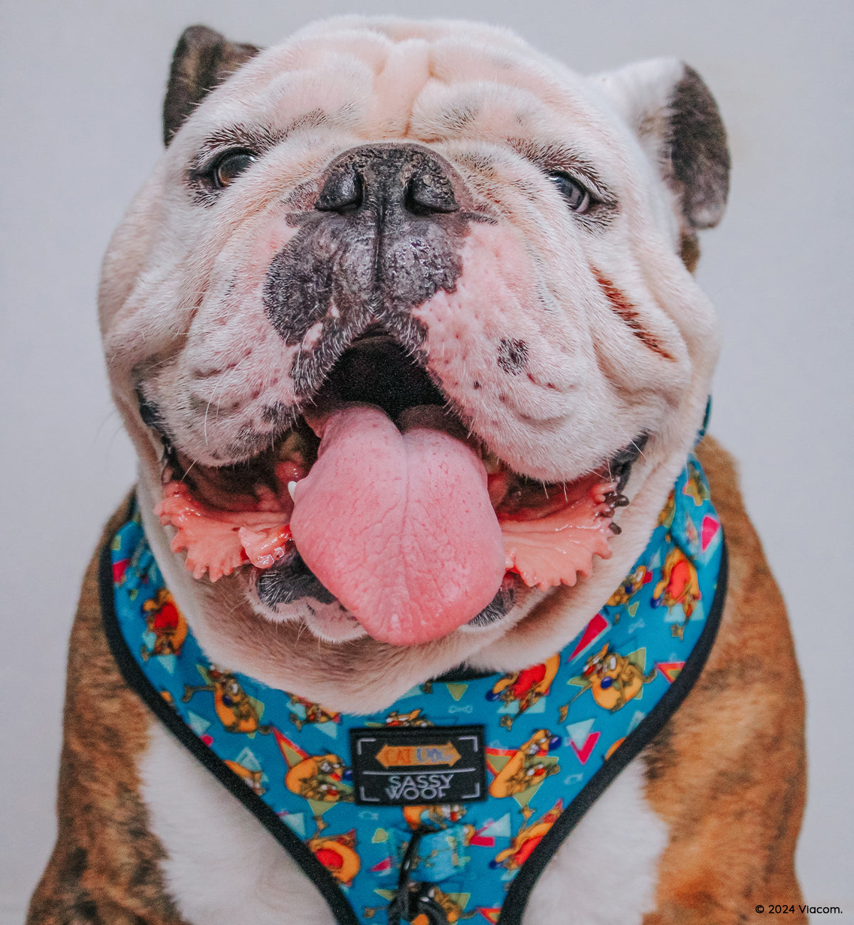 INFLUENCER_CONTENT | @ITSZEUSTHEBULLDOG | SIZE L