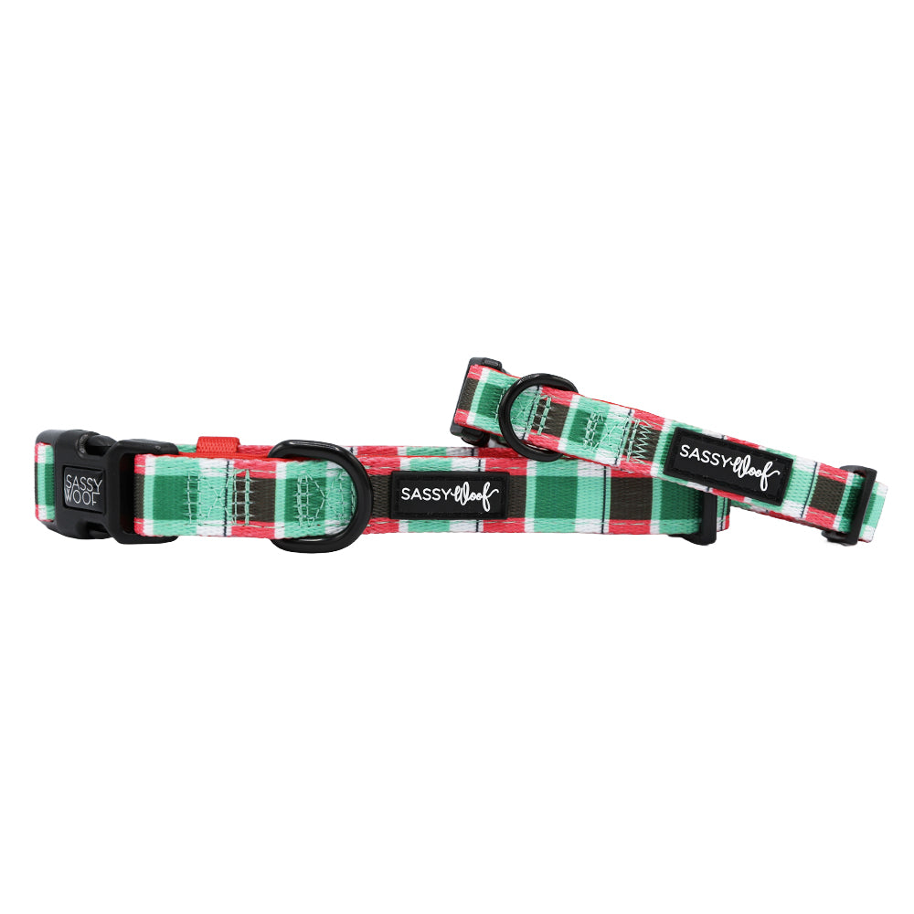 Dog Collar - Jingle Barks