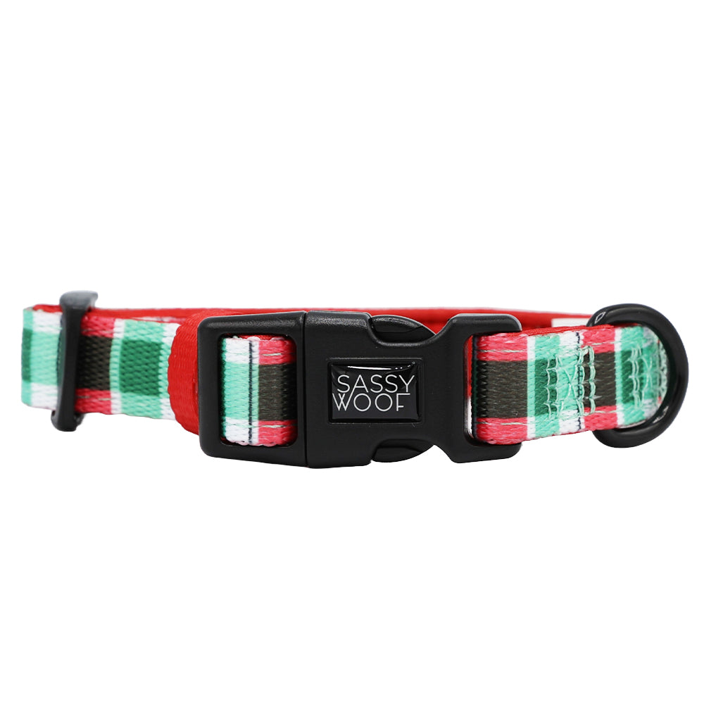 Dog Collar - Jingle Barks