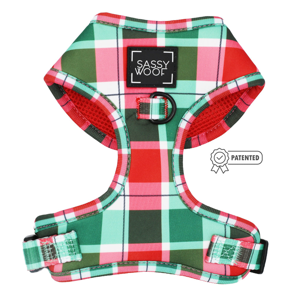 Dog Two Piece Bundle - Jingle Barks