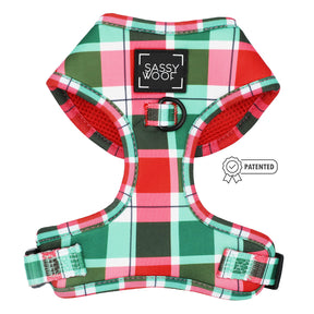 Dog Two Piece Bundle - Jingle Barks