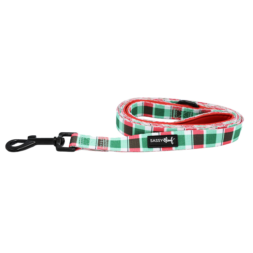 Dog Leash - Jingle Barks