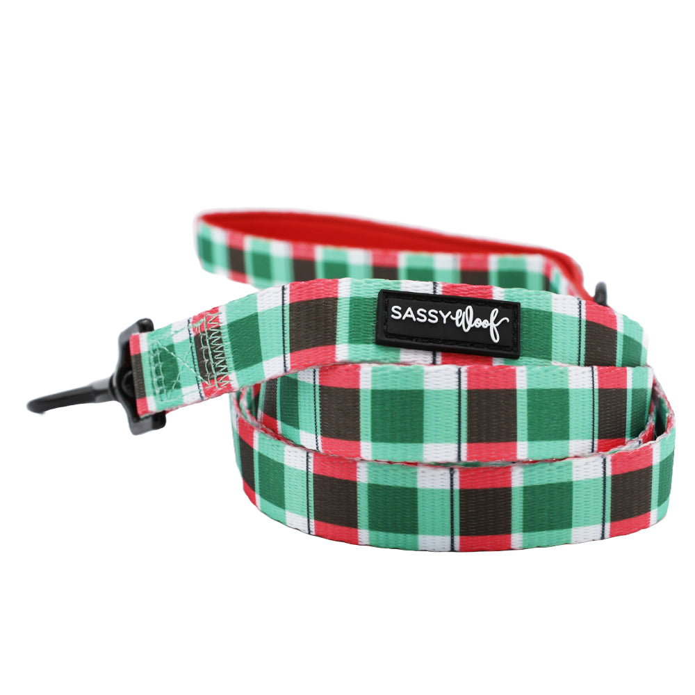 Collar Three Piece Bundle - Jingle Barks