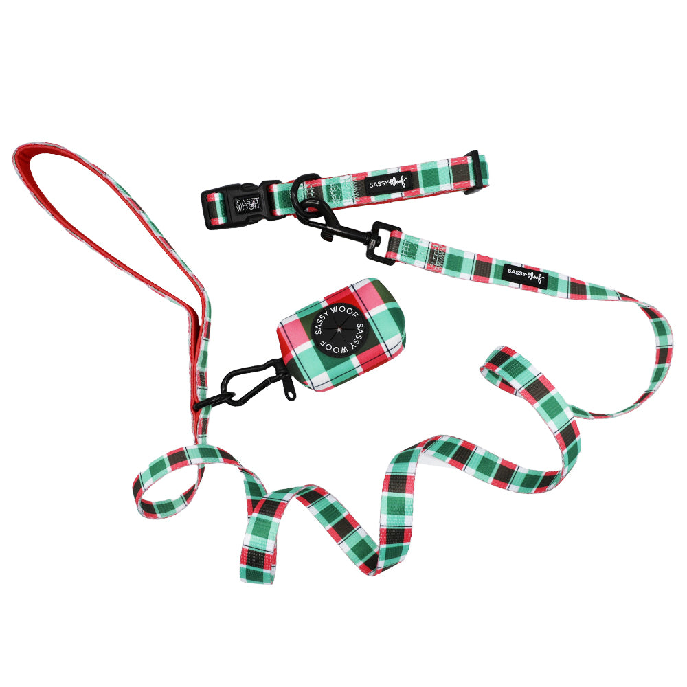 Collar Three Piece Bundle - Jingle Barks