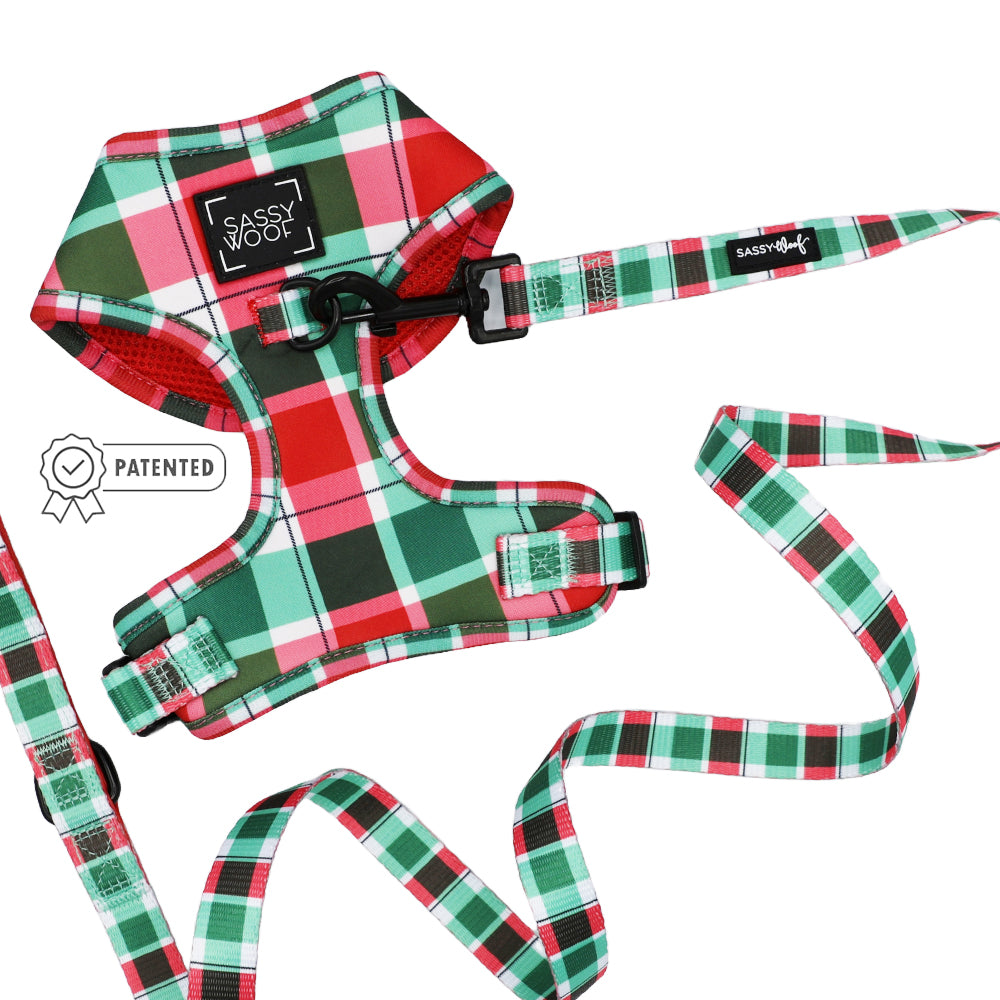 Dog Two Piece Bundle - Jingle Barks