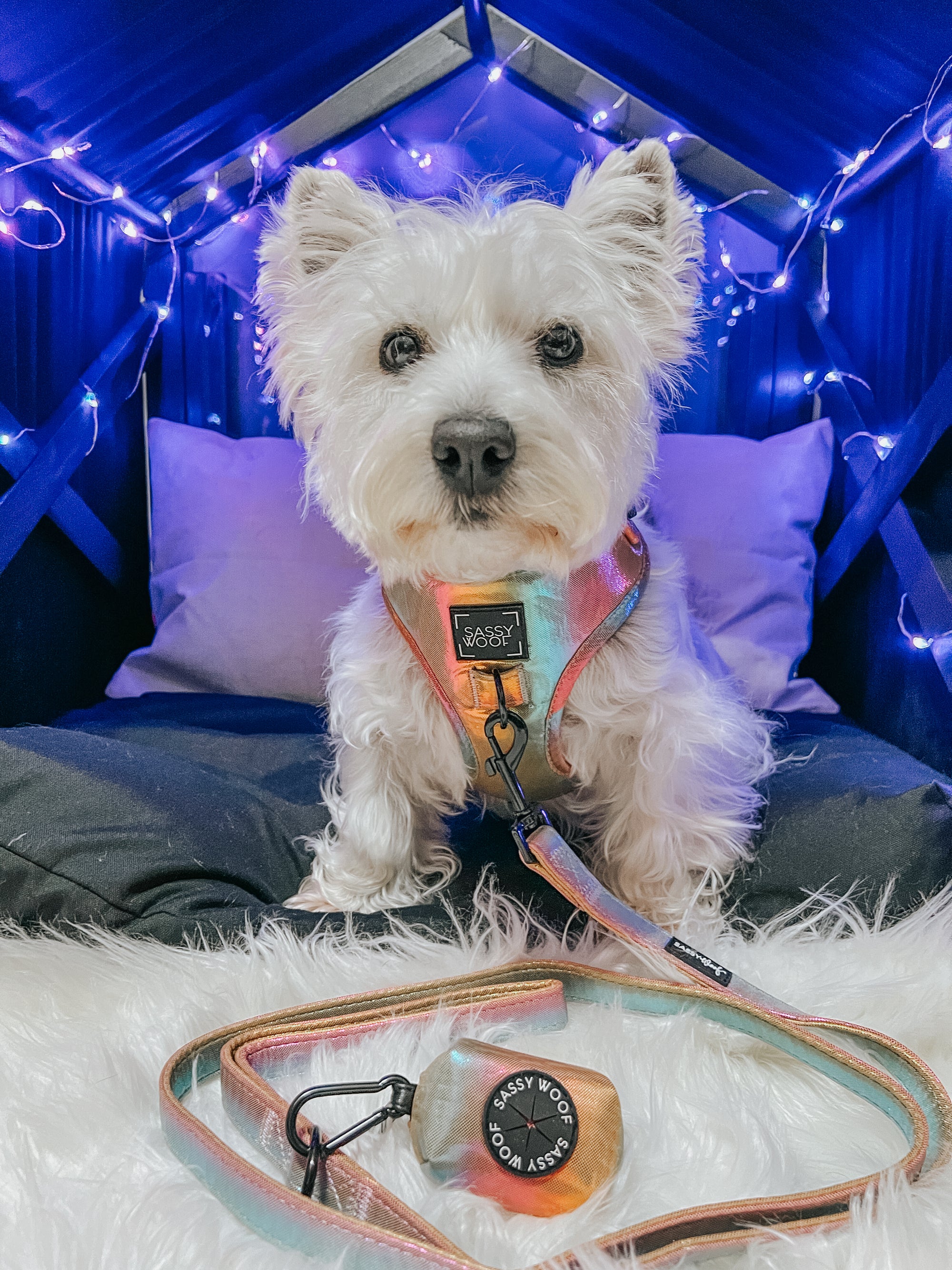 INFLUENCER_CONTENT | @LACEY.THE.WESTIE | SIZE S