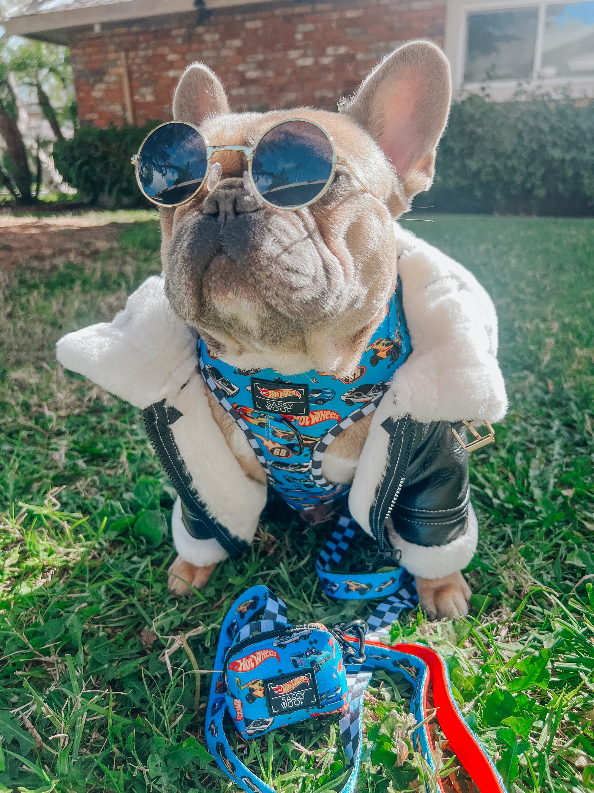 INFLUENCER_CONTENT | @LEOTHEFRENCHIE_1