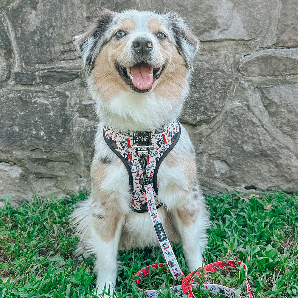 INFLUENCER_CONTENT | @LILYTHEMINIAUSSIE | SIZE M & L