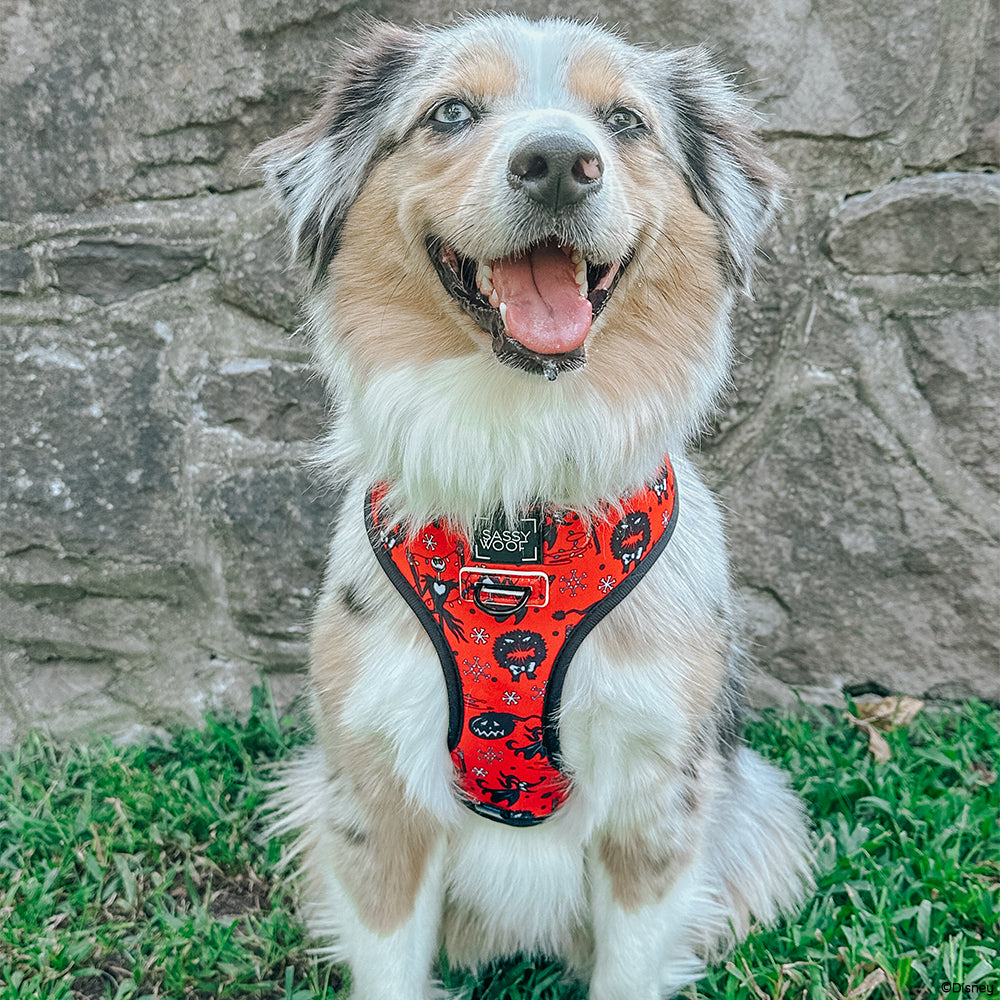 INFLUENCER_CONTENT | @LILYTHEMINIAUSSIE | SIZE L