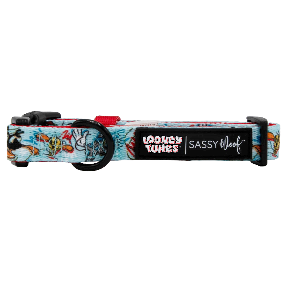 Dog Collar - Looney Tunes™ Blue