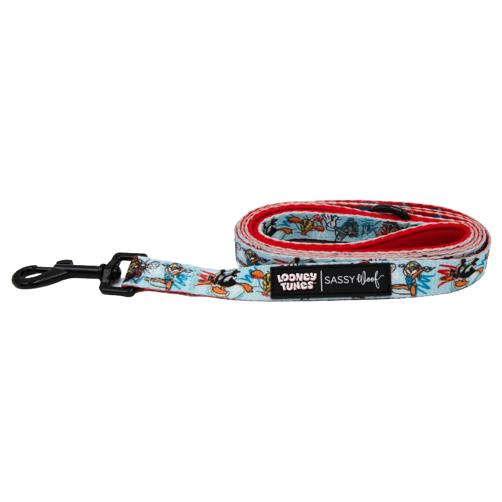 Dog Leash - Looney Tunes™ Blue