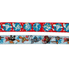 Dog Leash - Looney Tunes™ Blue