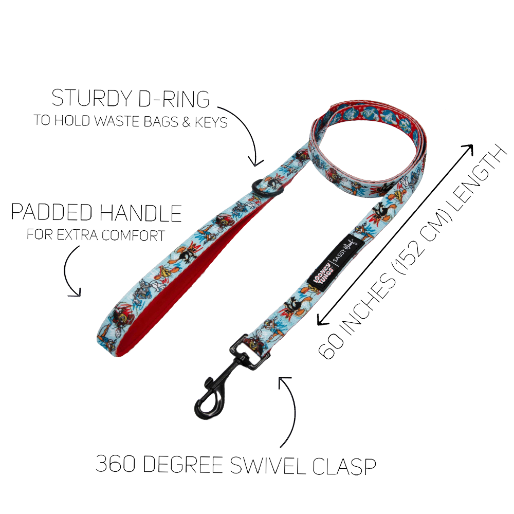 Dog Leash - Looney Tunes™ Blue