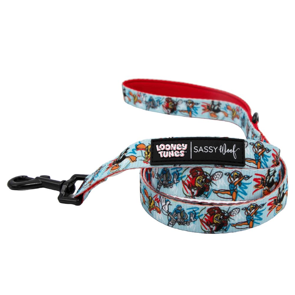 Dog Four Piece Bundle - Looney Tunes™ Blue