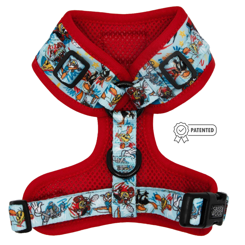 Dog Adjustable Harness - Looney Tunes™ Blue