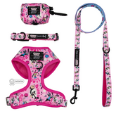 Dog Four Piece Bundle - Looney Tunes™ Pink