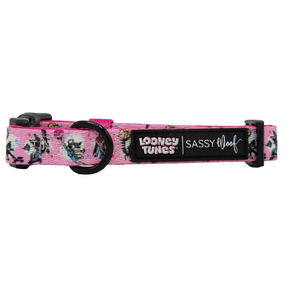 Dog Collar - Looney Tunes™ Pink