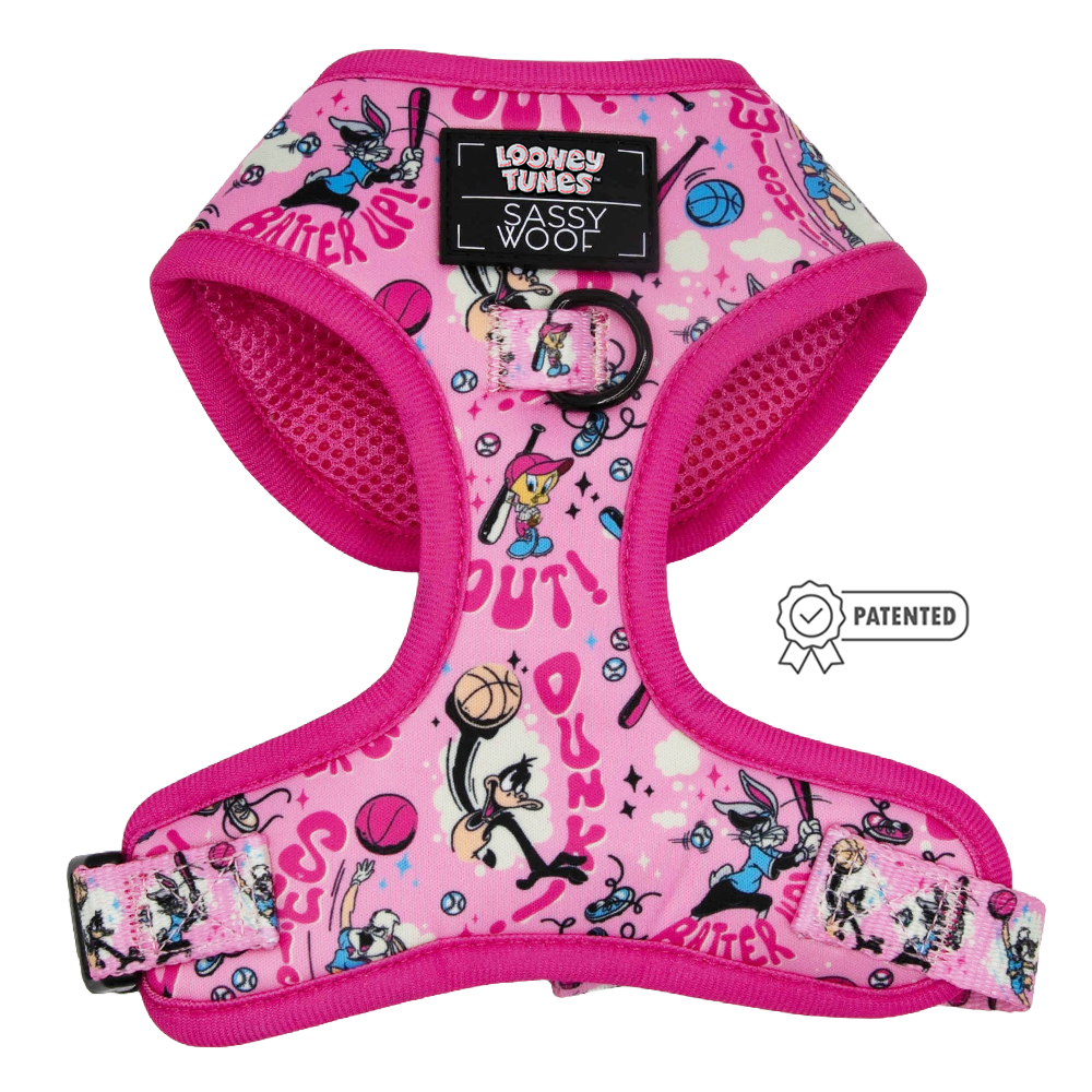 Dog Four Piece Bundle - Looney Tunes™ Pink