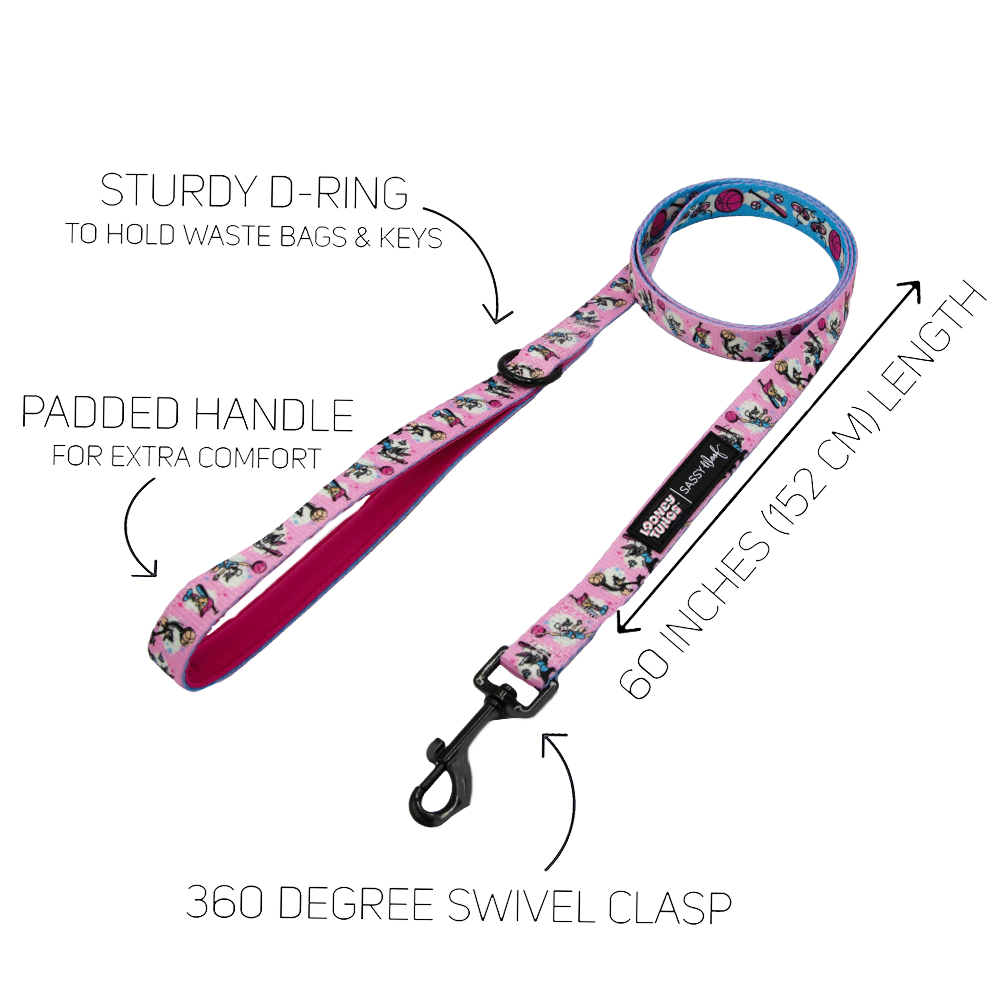 Dog Leash - Looney Tunes™ Pink