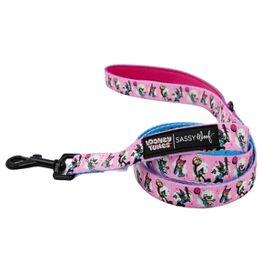 Dog Two Piece Bundle -  Looney Tunes™ Pink