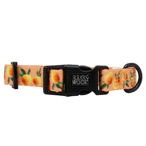 Dog Collar - Mango Tango