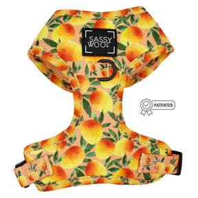 Dog Two Piece Bundle - Mango Tango