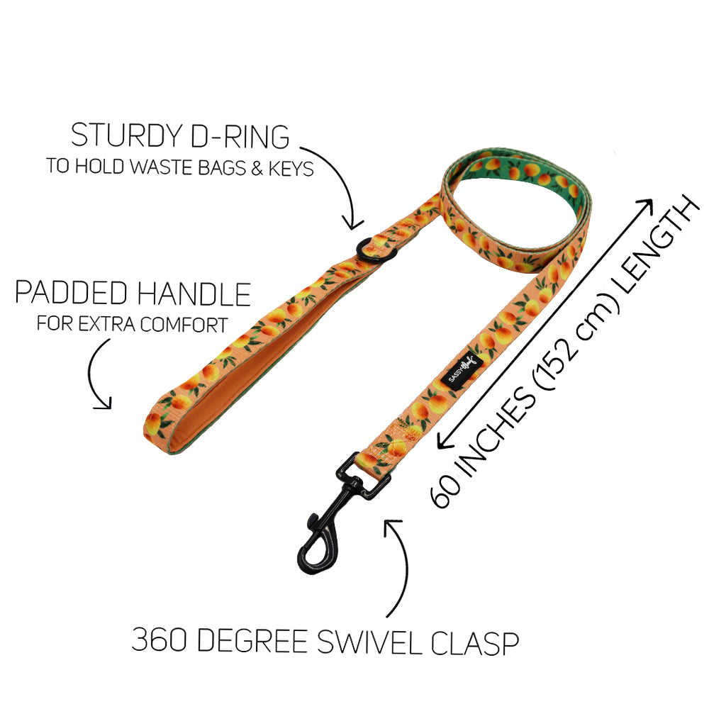 Dog Leash  - Mango Tango